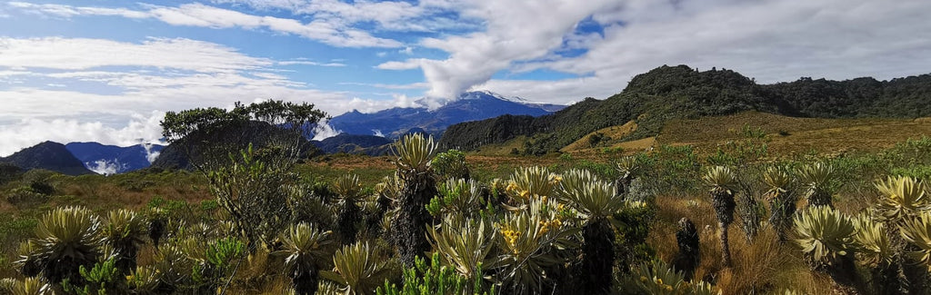Impacto del calentamiento global en los páramos de Colombia